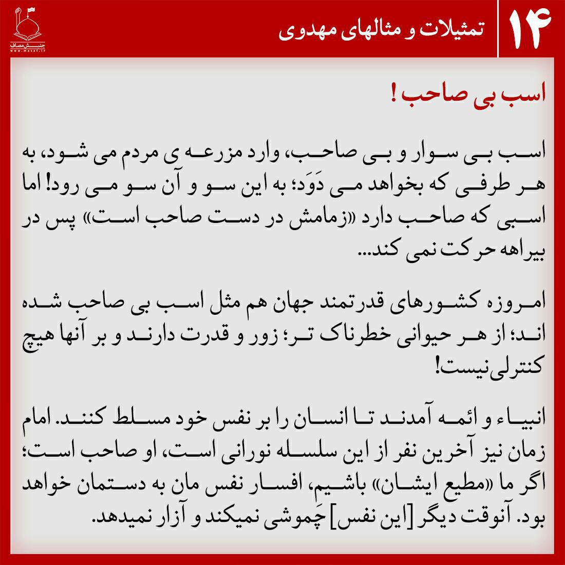 اسب بی صاحب !